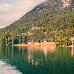 Meet your Posher, Tavarez